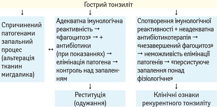 Рациональное лечение небактериальных и бактериальных инфекций верхних дыхательных путей в рамках проблемы сдерживания роста бактериальной резистентности